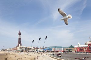 blackpool seagull 1 sm.jpg